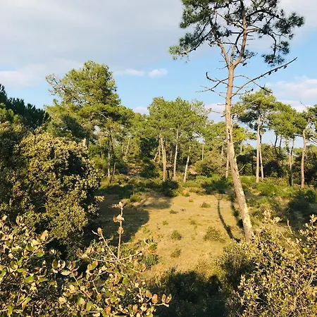 Les Lauriers, Logement Calme Et Mer Apartamento